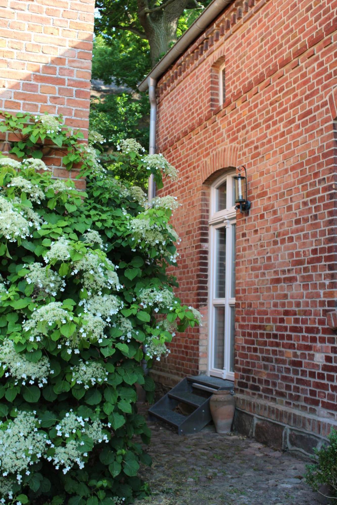 Ferienwohnung Buchholz Buchholz  ภายนอก รูปภาพ